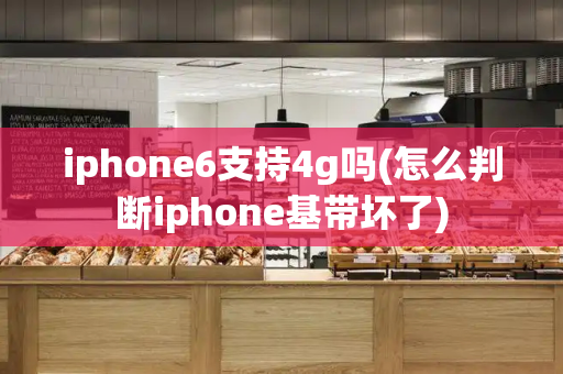 iphone6支持4g吗(怎么判断iphone基带坏了)-第1张图片-星选测评