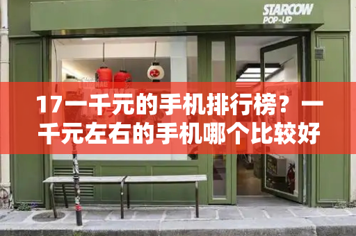 17一千元的手机排行榜？一千元左右的手机哪个比较好-第1张图片-星选测评