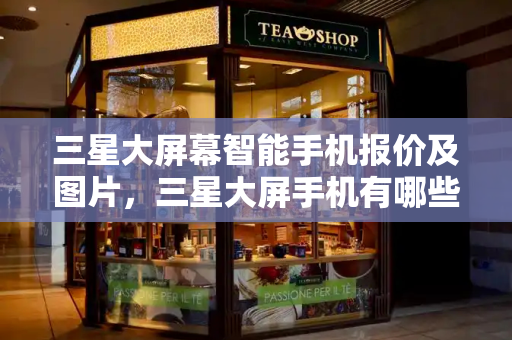 三星大屏幕智能手机报价及图片，三星大屏手机有哪些