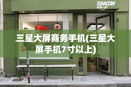 三星大屏商务手机(三星大屏手机7寸以上)-第1张图片-星选测评