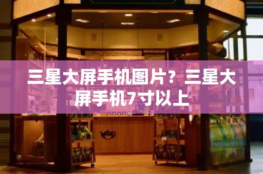 三星大屏手机图片？三星大屏手机7寸以上-第1张图片-星选测评