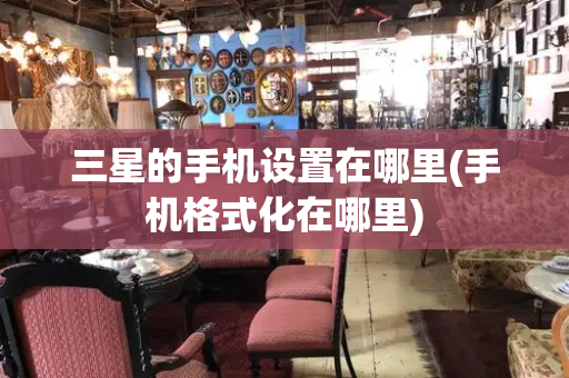 三星的手机设置在哪里(手机格式化在哪里)