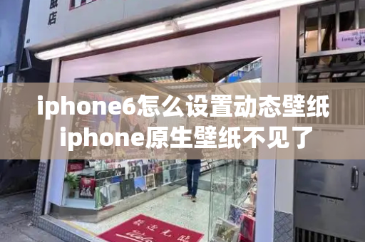 iphone6怎么设置动态壁纸 iphone原生壁纸不见了