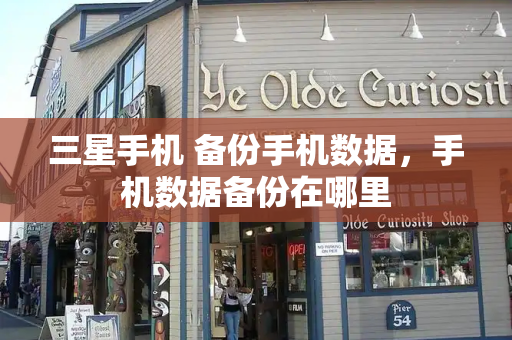 三星手机 备份手机数据，手机数据备份在哪里