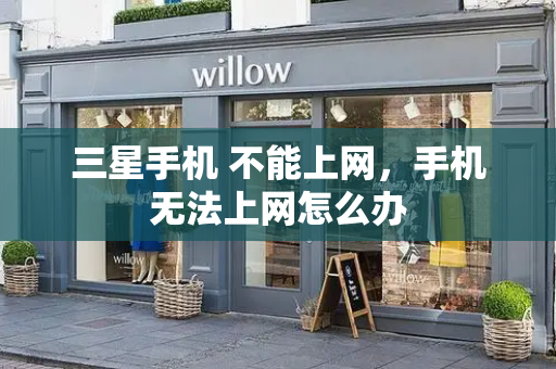 三星手机 不能上网，手机无法上网怎么办-第1张图片-星选测评