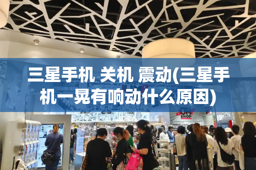 三星手机 关机 震动(三星手机一晃有响动什么原因)-第1张图片-星选测评