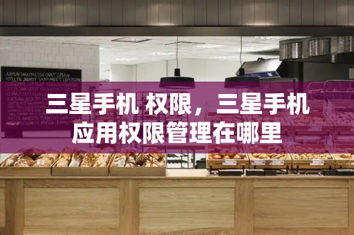 三星手机 权限，三星手机应用权限管理在哪里