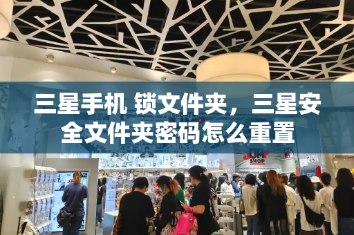 三星手机 锁文件夹，三星安全文件夹密码怎么重置