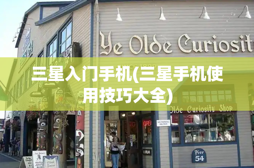 三星入门手机(三星手机使用技巧大全)