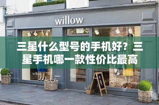 三星什么型号的手机好？三星手机哪一款性价比最高-第1张图片-星选测评