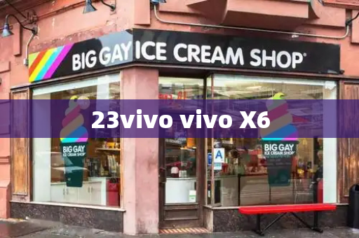 23vivo vivo X6