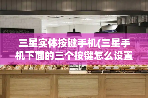 三星实体按键手机(三星手机下面的三个按键怎么设置)