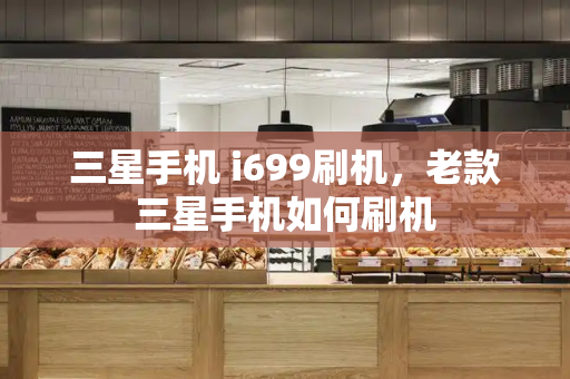 三星手机 i699刷机，老款三星手机如何刷机
