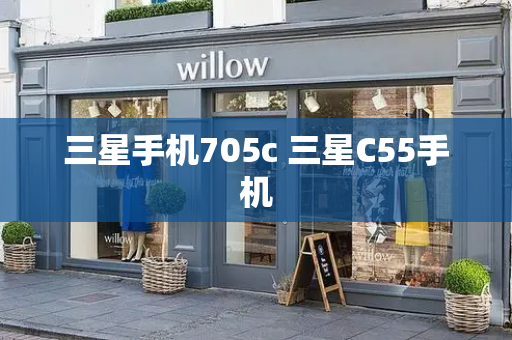 三星手机705c 三星C55手机-第1张图片-星选测评