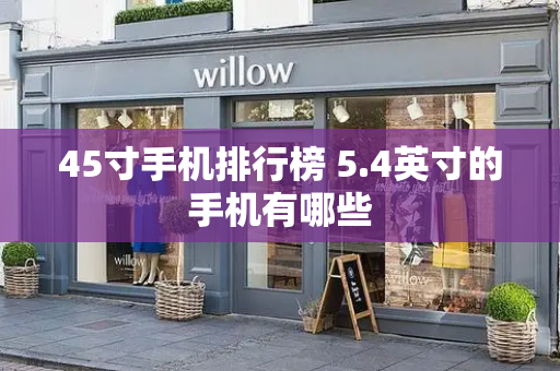 45寸手机排行榜 5.4英寸的手机有哪些-第1张图片-星选测评