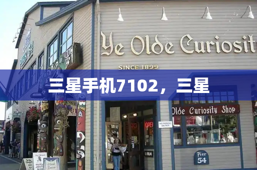 三星手机7102，三星-第1张图片-星选测评