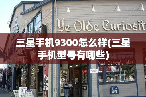 三星手机9300怎么样(三星手机型号有哪些)-第1张图片-星选测评