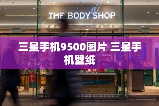 三星手机9500图片 三星手机壁纸