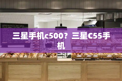 三星手机c500？三星C55手机-第1张图片-星选测评