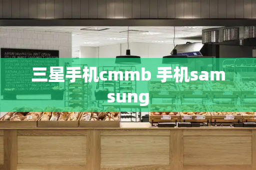 三星手机cmmb 手机samsung