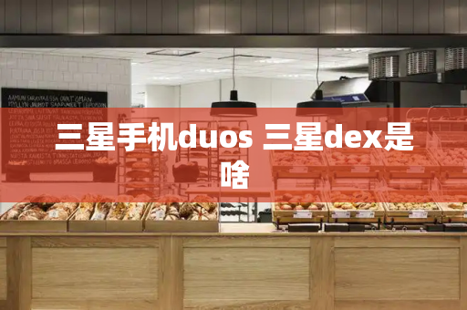 三星手机duos 三星dex是啥-第1张图片-星选测评