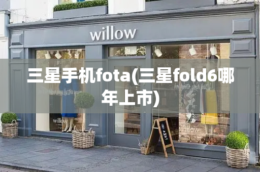 三星手机fota(三星fold6哪年上市)