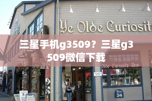 三星手机g3509？三星g3509微信下载-第1张图片-星选测评