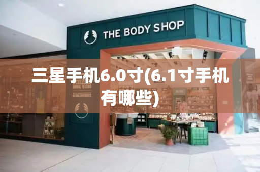 三星手机6.0寸(6.1寸手机有哪些)-第1张图片-星选测评
