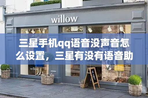 三星手机qq语音没声音怎么设置，三星有没有语音助手