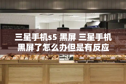 三星手机s5 黑屏 三星手机黑屏了怎么办但是有反应