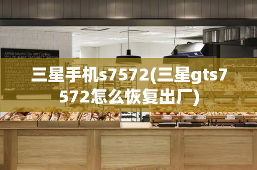三星手机s7572(三星gts7572怎么恢复出厂)-第1张图片-星选测评