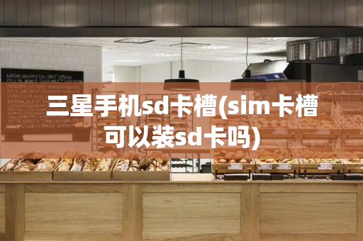 三星手机sd卡槽(sim卡槽可以装sd卡吗)-第1张图片-星选测评