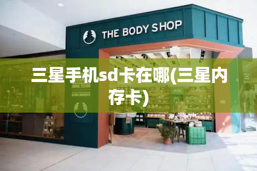 三星手机sd卡在哪(三星内存卡)-第1张图片-星选测评
