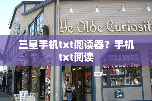 三星手机txt阅读器？手机txt阅读