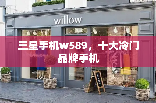 三星手机w589，十大冷门品牌手机-第1张图片-星选测评