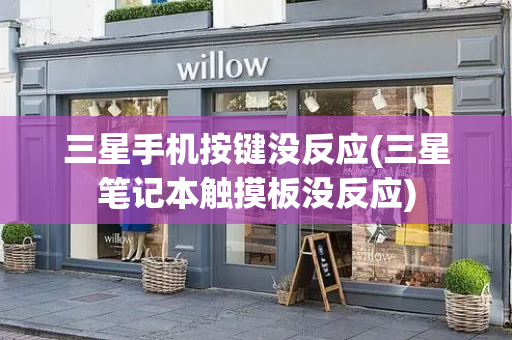 三星手机按键没反应(三星笔记本触摸板没反应)-第1张图片-星选测评