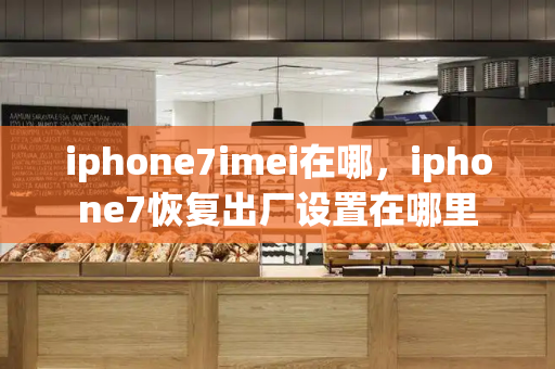 iphone7imei在哪，iphone7恢复出厂设置在哪里-第1张图片-星选测评