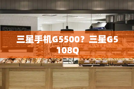 三星手机G5500？三星G5108Q-第1张图片-星选测评