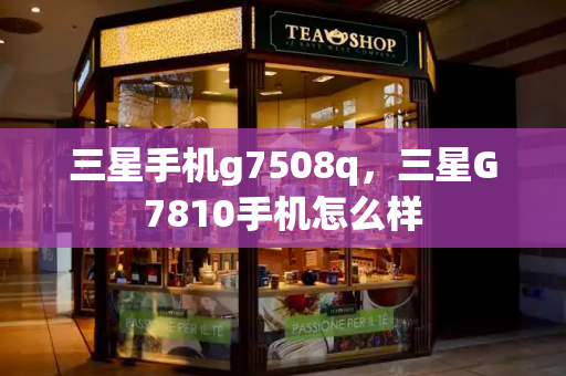 三星手机g7508q，三星G7810手机怎么样-第1张图片-星选测评