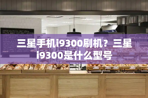 三星手机i9300刷机？三星i9300是什么型号