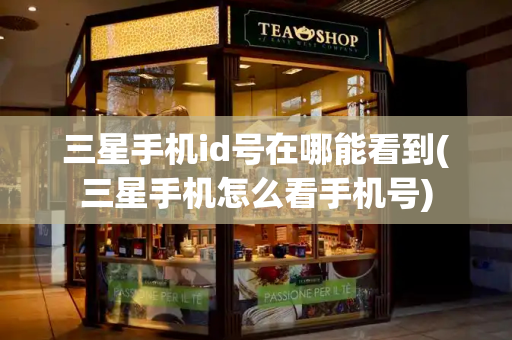 三星手机id号在哪能看到(三星手机怎么看手机号)