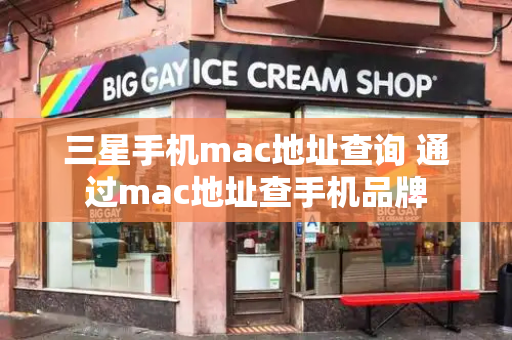 三星手机mac地址查询 通过mac地址查手机品牌-第1张图片-星选测评