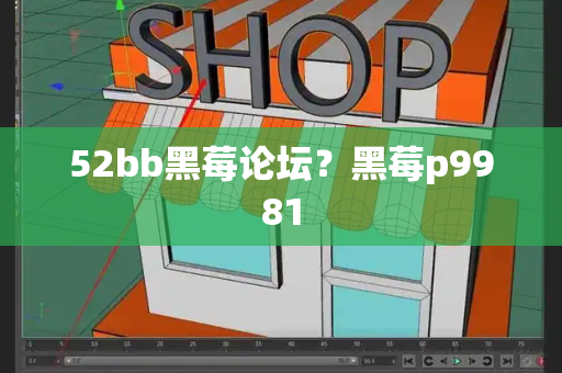 52bb黑莓论坛？黑莓p9981