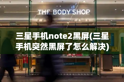 三星手机note2黑屏(三星手机突然黑屏了怎么解决)-第1张图片-星选测评