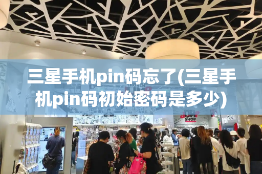 三星手机pin码忘了(三星手机pin码初始密码是多少)-第1张图片-星选测评