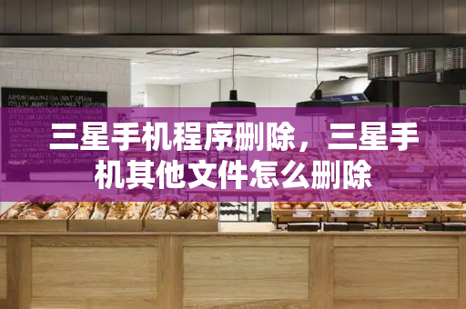 三星手机程序删除，三星手机其他文件怎么删除
