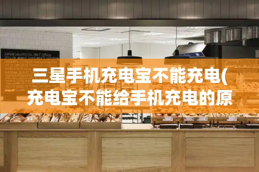 三星手机充电宝不能充电(充电宝不能给手机充电的原因)