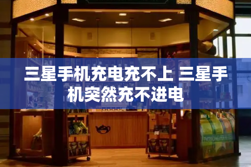 三星手机充电充不上 三星手机突然充不进电