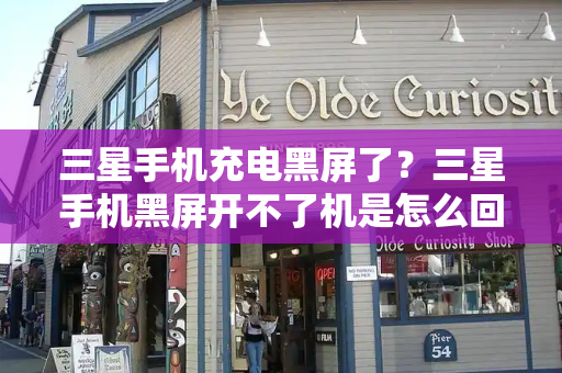 三星手机充电黑屏了？三星手机黑屏开不了机是怎么回事-第1张图片-星选测评