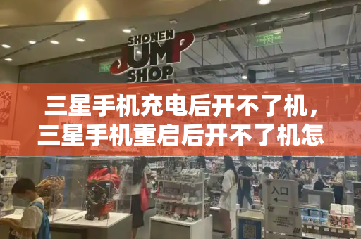 三星手机充电后开不了机，三星手机重启后开不了机怎么办-第1张图片-星选测评